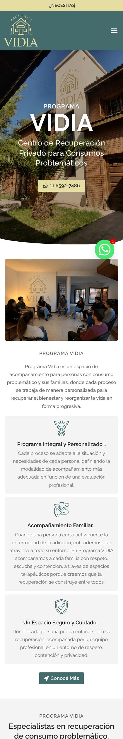 Vista mobile del sitio de Programa Vidia, diseñado por Point Web