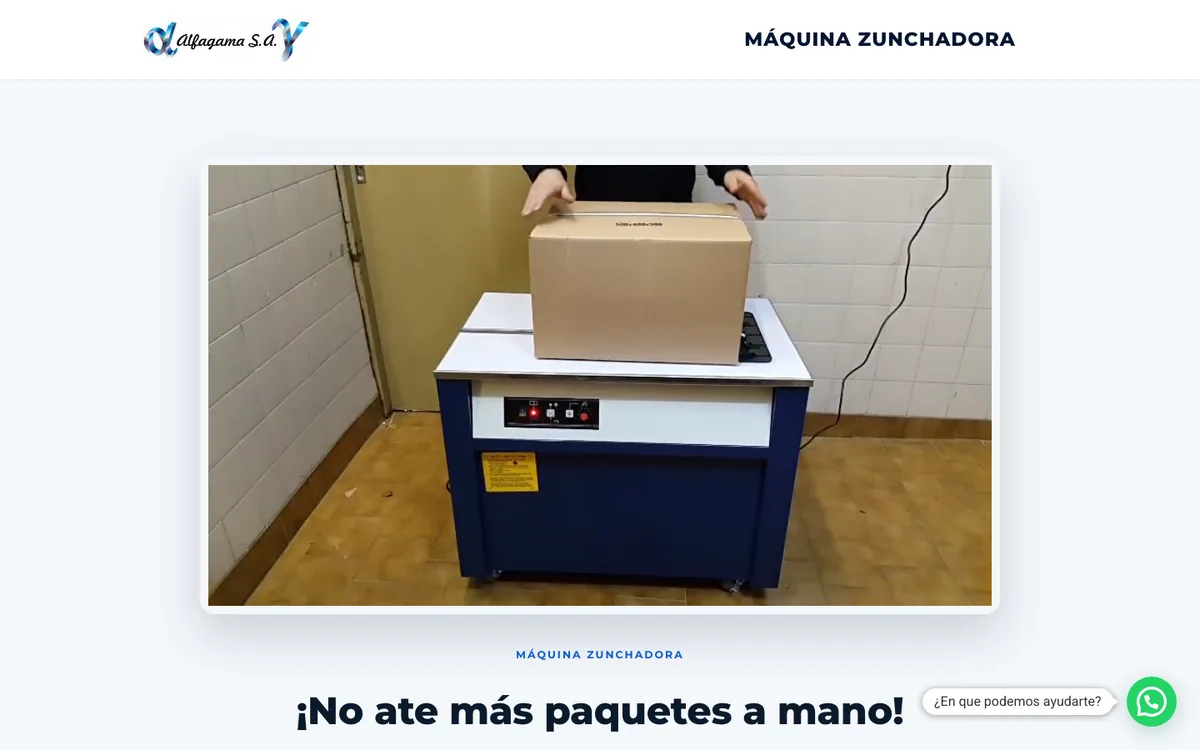 Sitio web de Alfagama S.A. en escritorio — diseño de Point Web