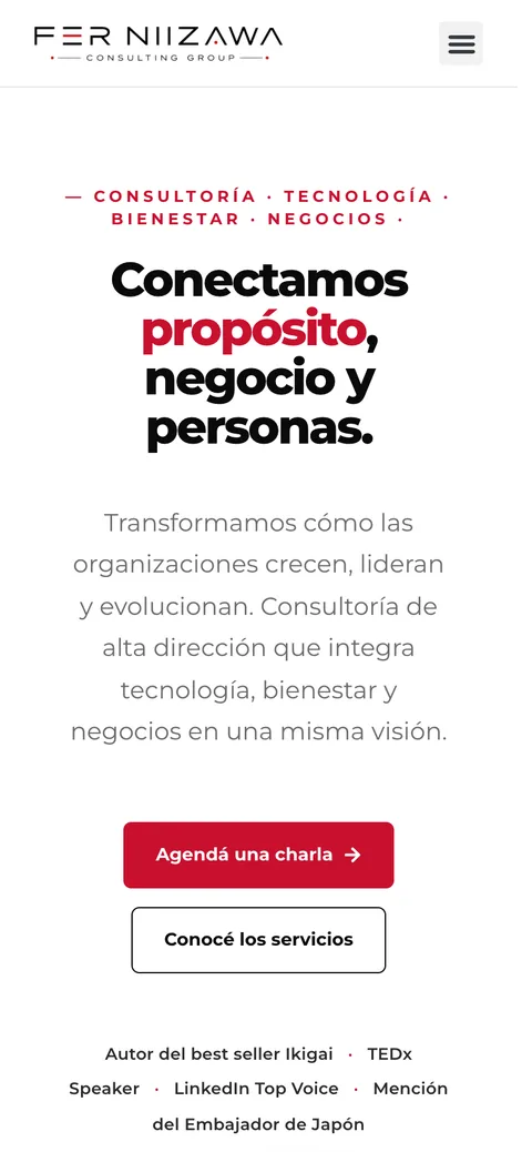 Sitio web de FER NIIZAWA Consulting Group en celular — diseño responsive de Point Web