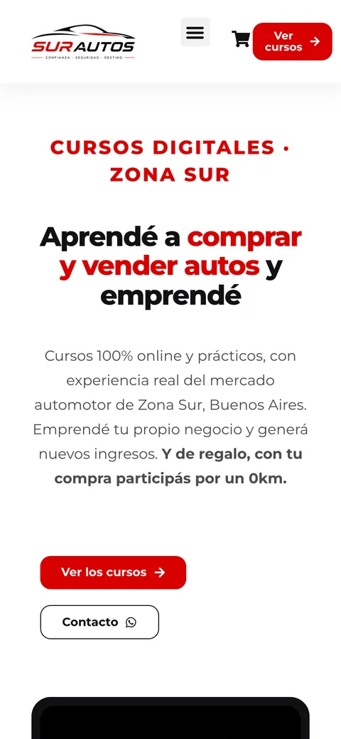 Sitio web de SurAutos en celular — diseño responsive de Point Web